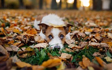 髪が広がる原因?湿度が大きく関係します