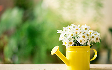 4月定休日のお知らせ