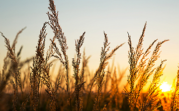 10月定休日のお知らせ