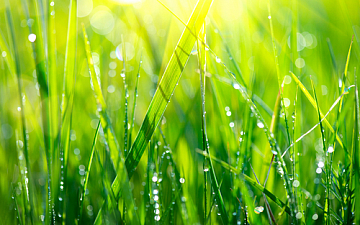 5月定休日のお知らせ