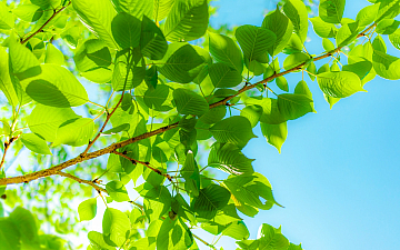 5月定休日のお知らせ