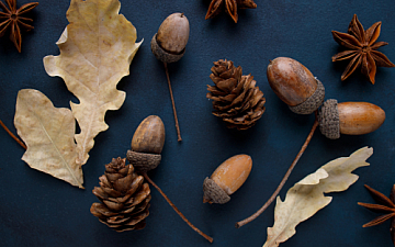 秋のスカルプケアにマッサージを!