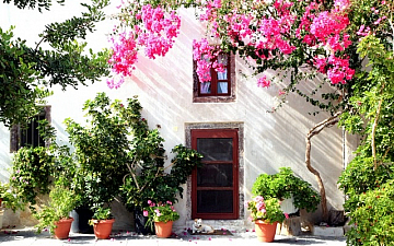 6月定休日のお知らせ