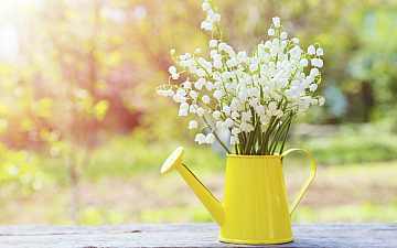 5月定休日のお知らせ