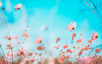 3月定休日のお知らせ