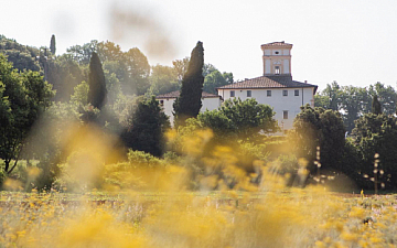 myrrhのヘアカラーは髪と頭皮に優しいオーガニック92%です★