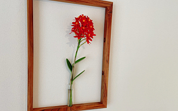 “赤”で夏っぽいmyrrhです