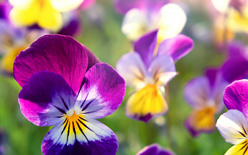 2月・3月定休日のお知らせ