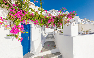 7月・8月定休日のお知らせ