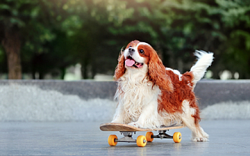 4月・5月定休日のお知らせ