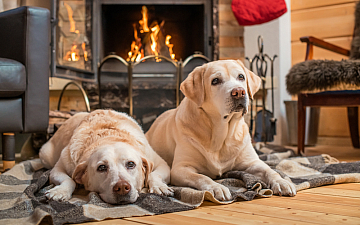 頭皮が硬い人ほど要注意?!\寒暖差疲労について/