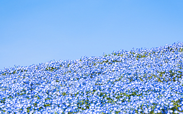 5月・6月定休日のお知らせ