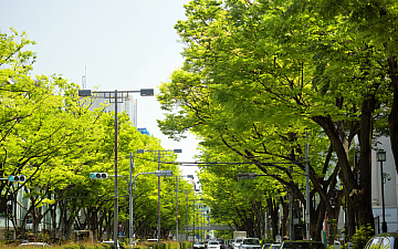 5月・6月定休日のお知らせ