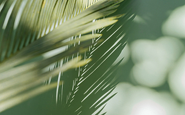 8月定休日のお知らせ