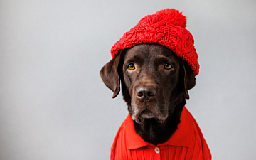 頭皮の赤みは乾燥サイン?!保湿ケアで冬に向けたご準備を