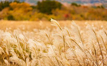 9月・10月定休日のお知らせ