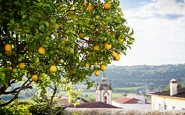 2月・3月定休日のお知らせ