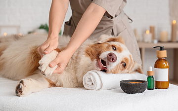 11月・12月定休日のお知らせ