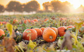 10月・11月サロン定休日のお知らせ