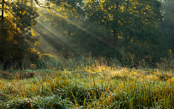 夏のダメージが秋に出る。ヒト幹保湿で“うるおう頭皮”へ