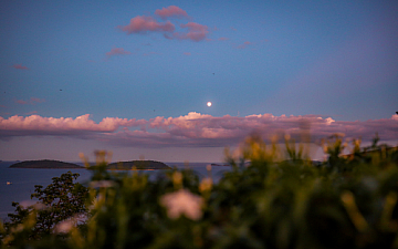 \満月の日こそ/ヘッドスパで頭皮むくみをスッキリさせましょう