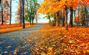 11月・12月サロン定休日のお知らせ