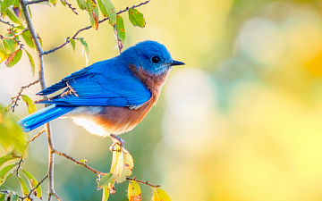 3月・4月サロン定休日のお知らせ