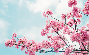 4月・5月定休日のお知らせ